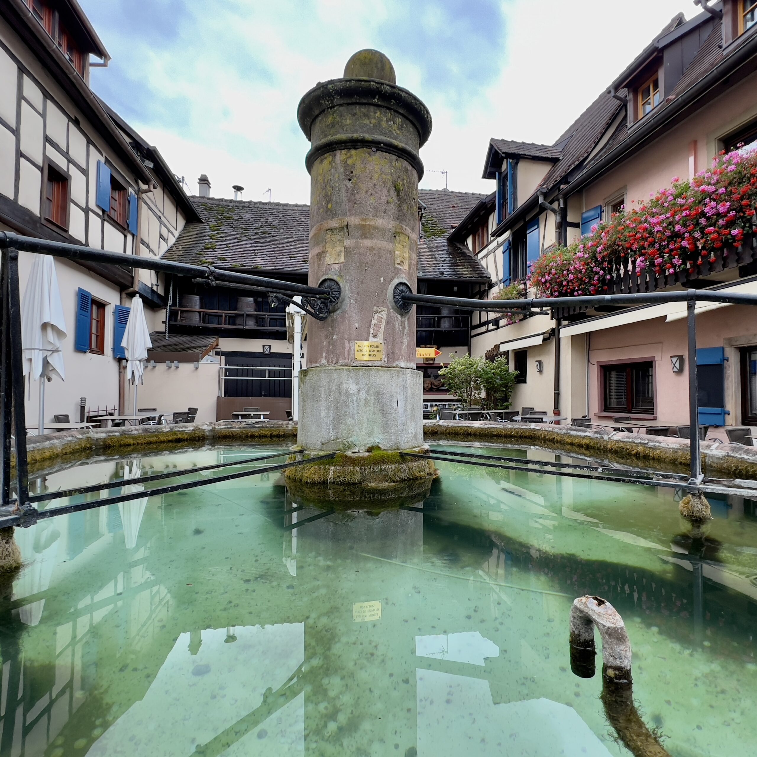10-IMG_4371